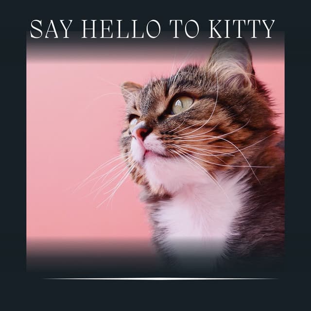 Say Hello to Kitty - Music For Cats