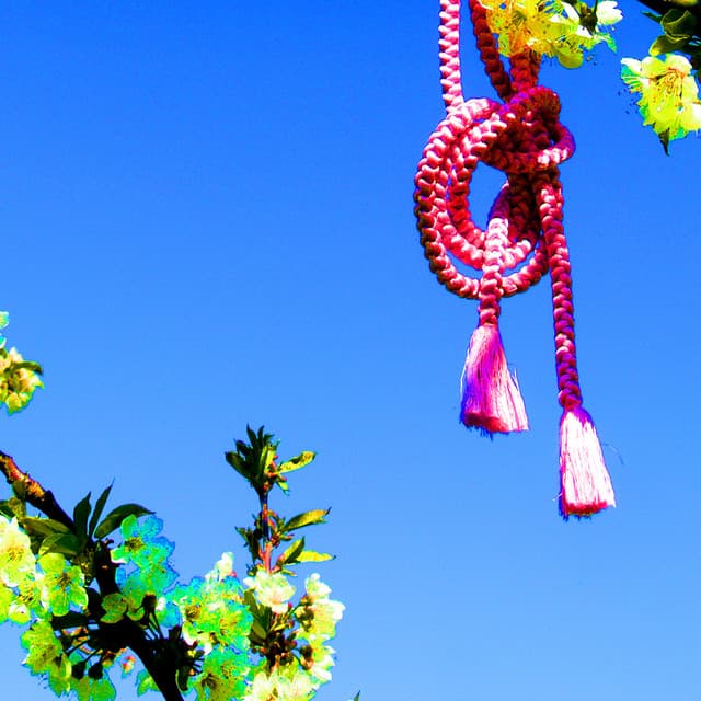 Haiku - Floraleda Sacchi