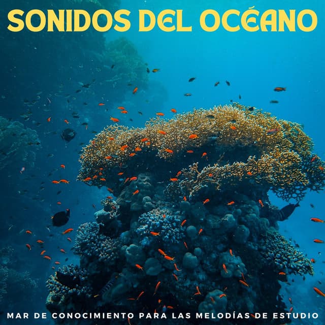 Sonidos Del Océano: Mar De Conocimiento Para Las Melodías De Estudio - Océano