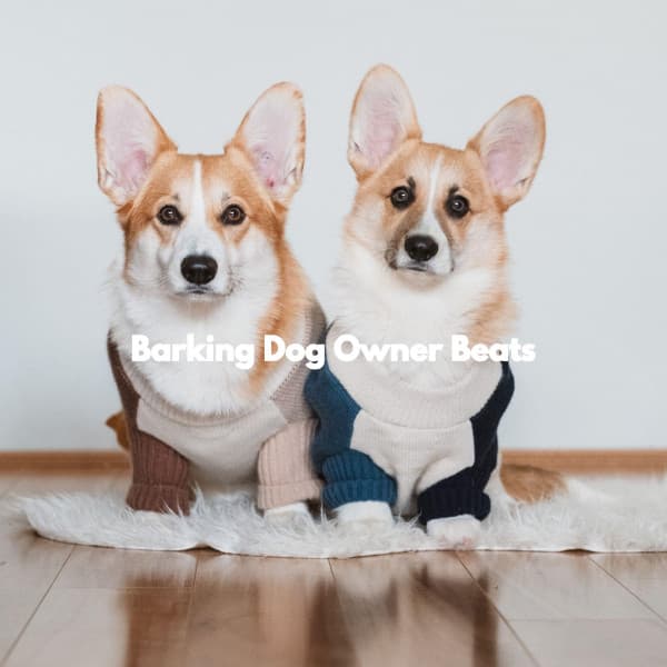 Barking Dog Owner Beats - Doggy Music Radio