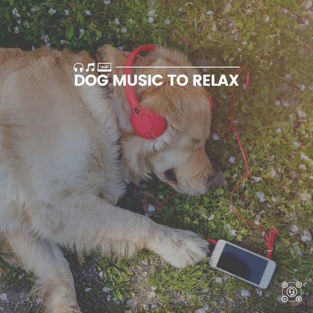 Dog Music to Relax - Dog Sleep Academy