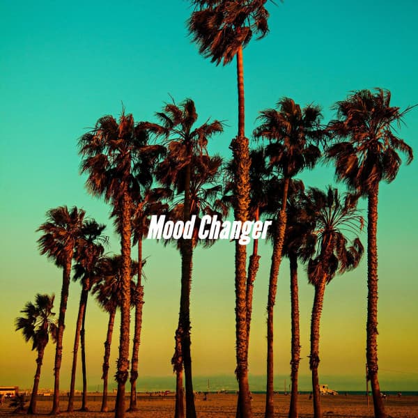 Acoustic Cafe Music Background Music