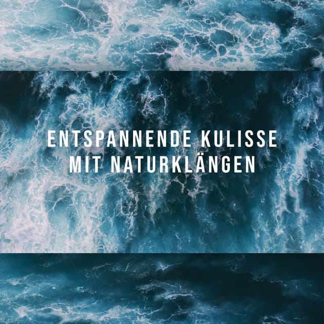 Entspannende Kulisse mit Naturklängen: Musiktherapie für den stressigen Tag - Naturgeräusche Meditationsmusik
