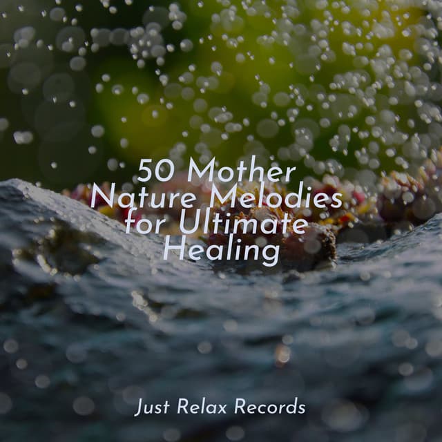50 Mother Nature Melodies for Ultimate Healing - Dormir