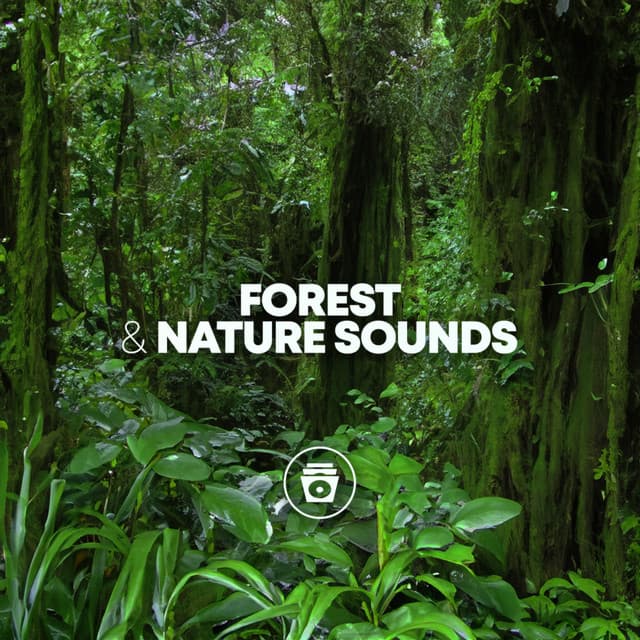 Forest & Nature Sounds - Sounds Of Nature