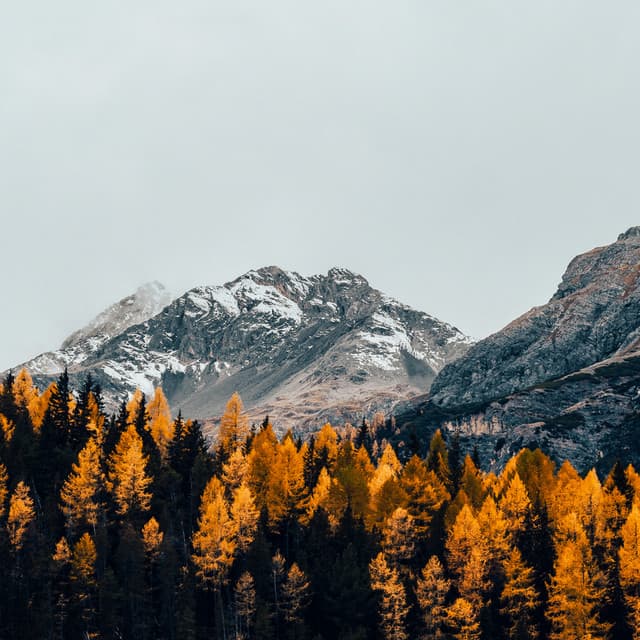 365 Calm: The Drive Home - 16 Bit Serenity