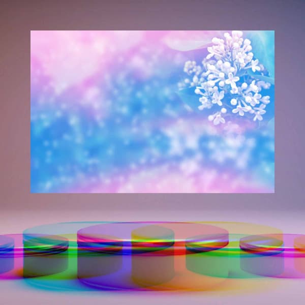 Jazz Organ and Bossa Guitar Trio - Brunch Jazz Playlist