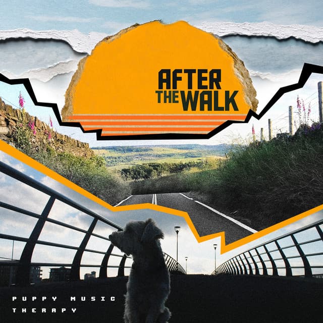 After the Walk - Puppy Music Therapy