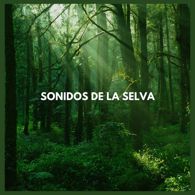 Sonidos de la Selva - Sonidos De La Selva