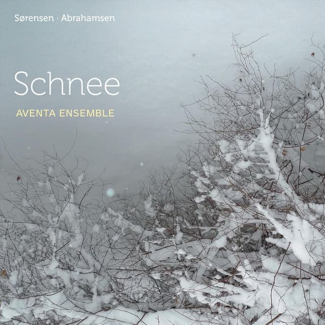 Schnee - Hans Abrahamsen