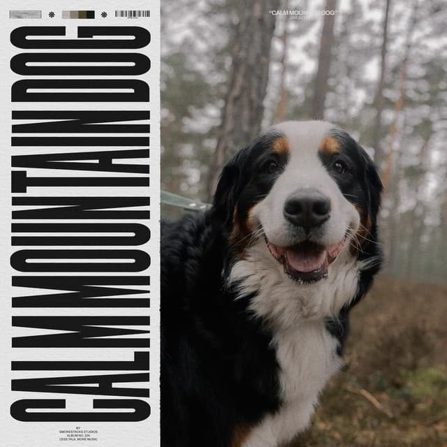 Calm Mountain Dog - Soothing Dog Sounds