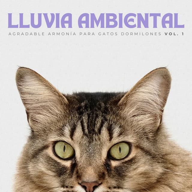 Lluvia Ambiental: Agradable Armonía Para Gatos Dormilones Vol. 1 - Fábrica De Lluvia