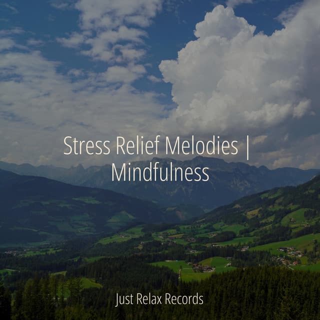 Stress Relief Melodies | Mindfulness - CANCIONES DE CUNA