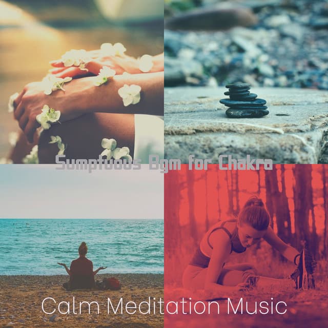 Sumptuous Bgm for Chakra - Calm Meditation Music