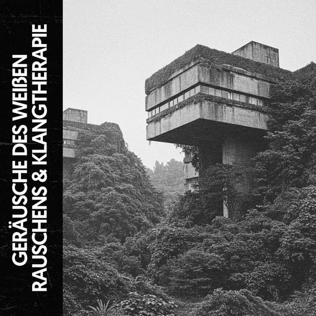 Geräusche des Weißen Rauschens & Klangtherapie: Harmonien für friedliche Gemüter - The White Noise Travelers