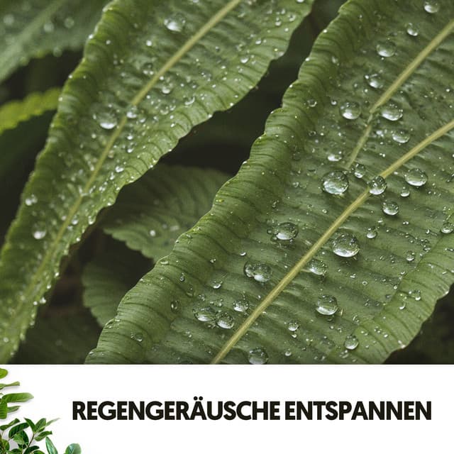 Regen-Spa-Klänge: Seelenvolle Kraft des Wassers - Cat Music