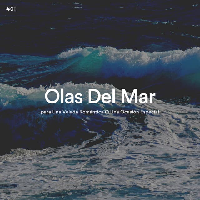 #01 Olas Del Mar para Una Velada Romántica O Una Ocasión Especial - Olas del Mar