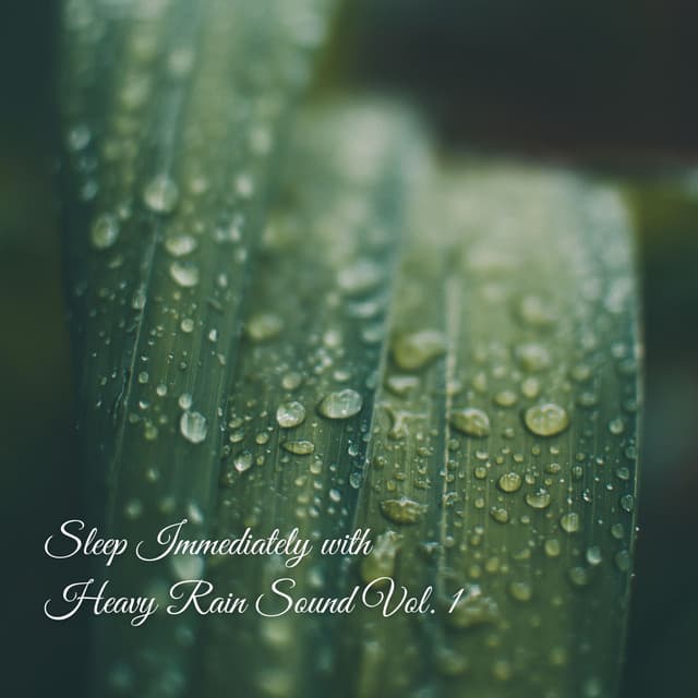Sleep Immediately with Heavy Rain Sound Vol. 1 - Rain Wonder
