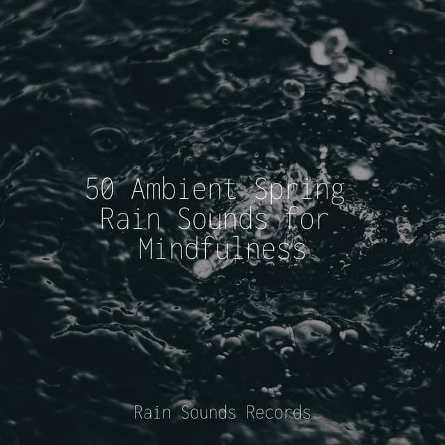 50 Ambient Spring Rain Sounds for Mindfulness - Naturaleza Sonidos