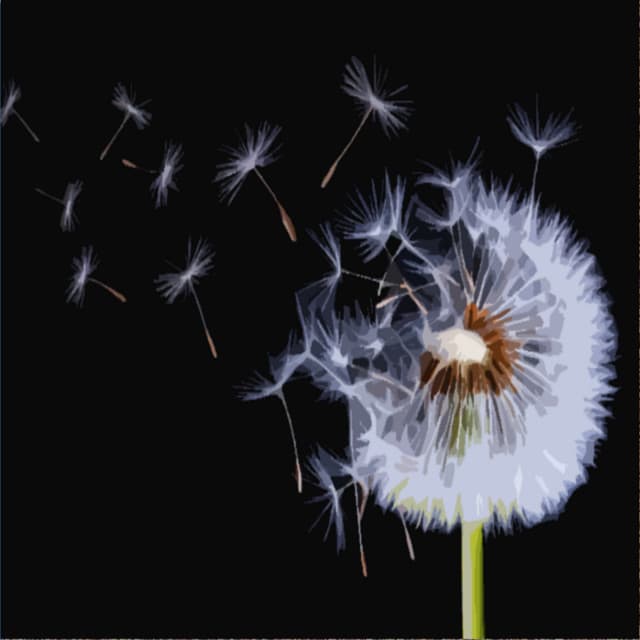 Soothing Winds for Background Noise - Wind Sounds