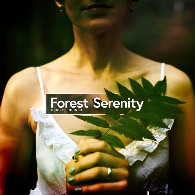 Forest Serenity - Cricket Sounds