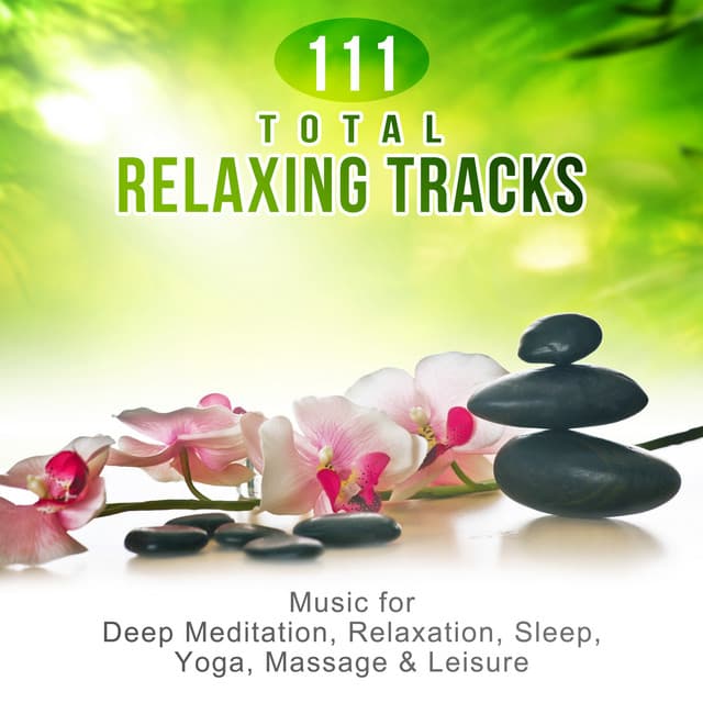 111 Total Relaxing Tracks: Music for Deep Meditation, Relaxation, Sleep, Yoga, Massage & Leisure, Soothing Nature Sounds for Reiki & SPA - Relaxation & Meditation Academy