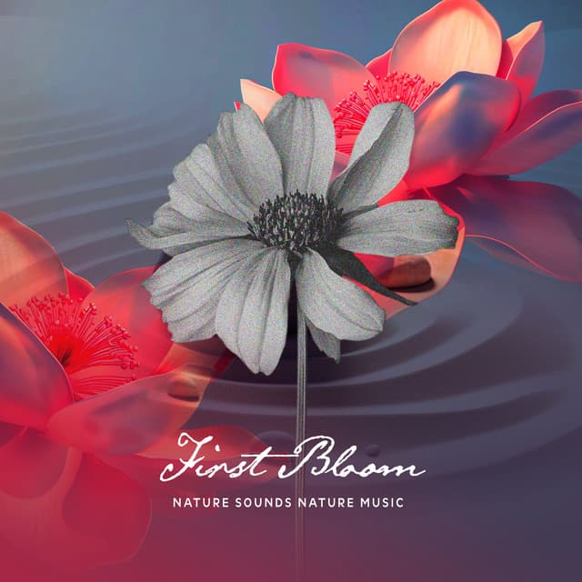 First Bloom - Nature Sounds Nature Music