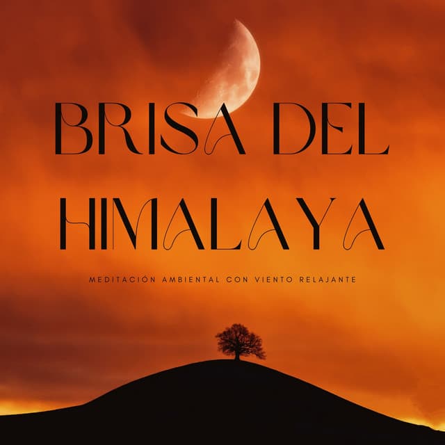 Brisa Del Himalaya: Meditación Ambiental Con Viento Relajante - Naturaleza sagrada
