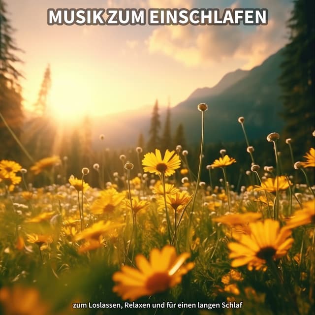 Musik zum Einschlafen zum Loslassen, Relaxen und für einen langen Schlaf - Entspannungsmusik