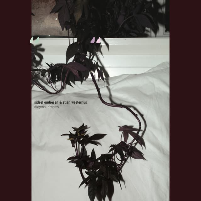 Didymoi Dreams - Sidsel Endresen