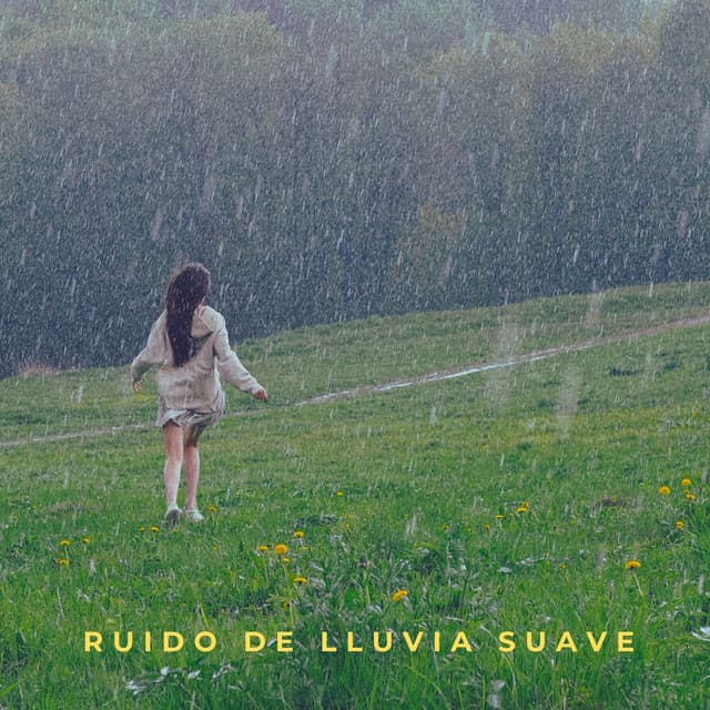 Ruido De Lluvia Suave - Maravilla de lluvia