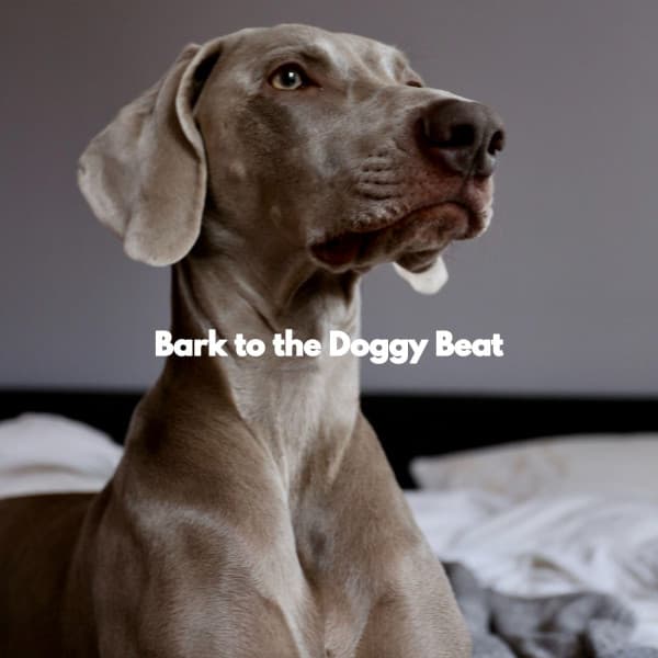 Bark to the Doggy Beat - Relax My Dog Music
