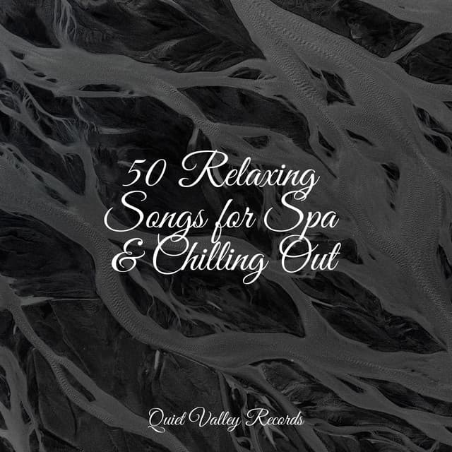 50 Relaxing Songs for Spa & Chilling Out - Namaste Healing Yoga