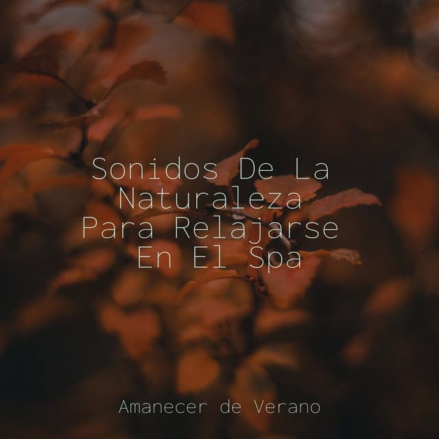Sonidos De La Naturaleza Para Relajarse En El Spa - Instrumental