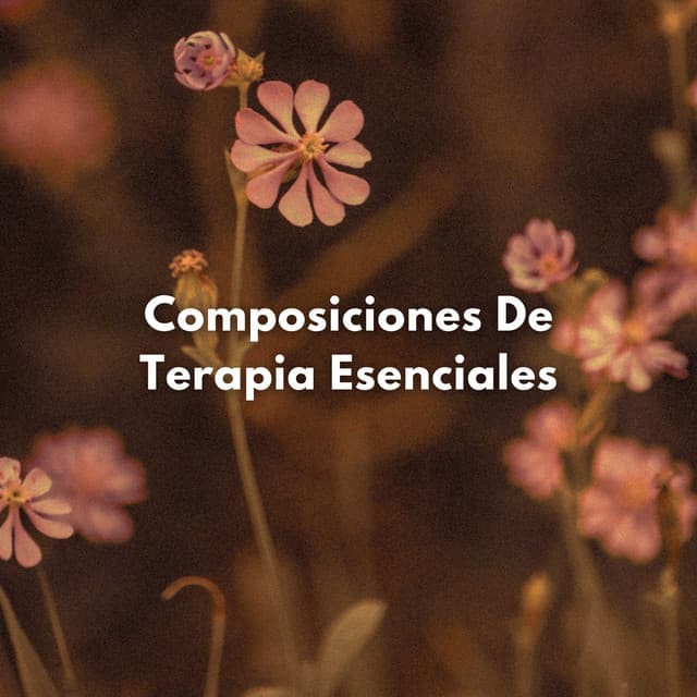 Composiciones De Terapia Esenciales - Ecos Débiles