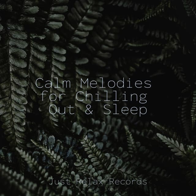Calm Melodies for Chilling Out & Sleep - Schlaflieder Für Kinder