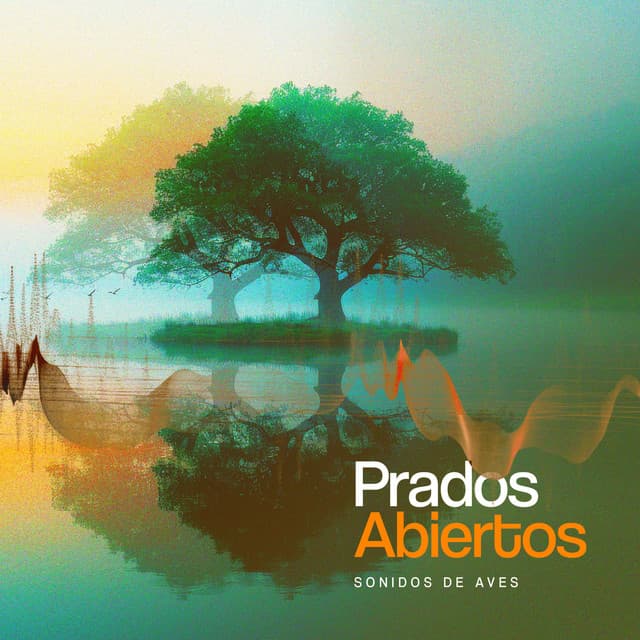 Prados Abiertos - Sonidos De Aves