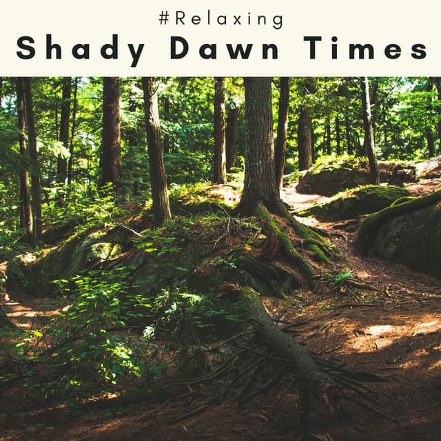 3 2 1 Shady Dawn Times - #Relaxing