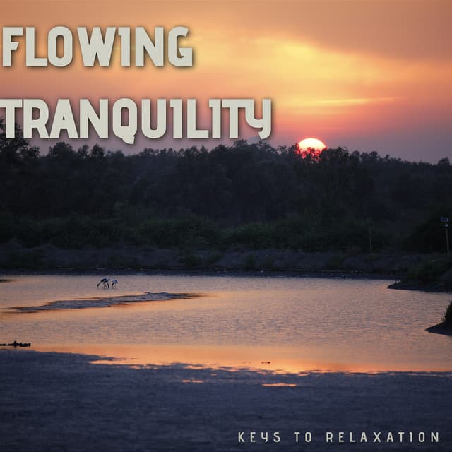 Flowing Tranquility - Keys to Relaxation