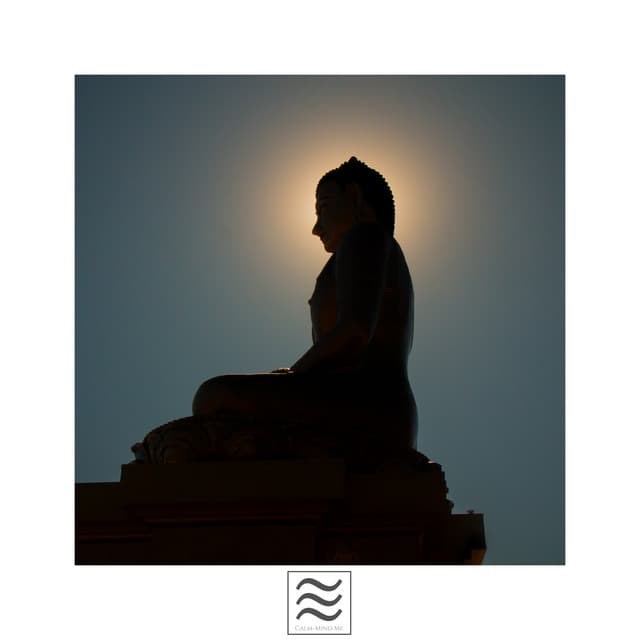 Calmful Enjoyable Noisy Rainfall and Bowls - Meditators
