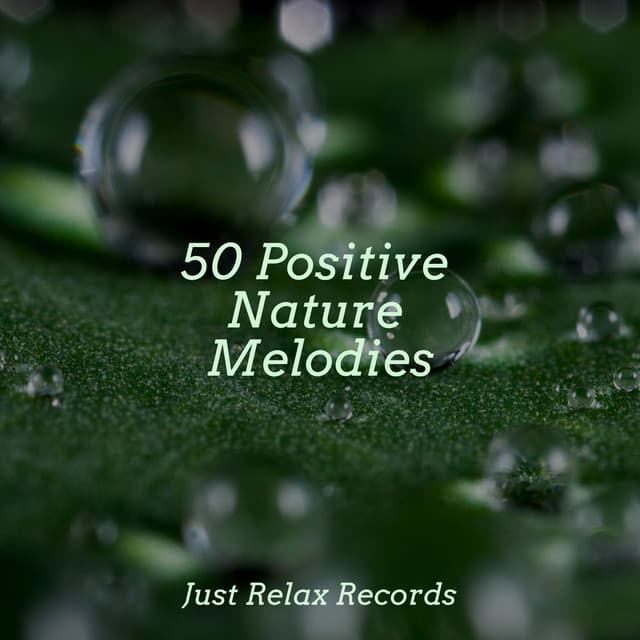 50 Positive Nature Melodies - Musica Reiki