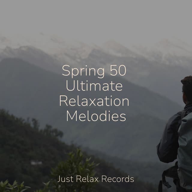 Spring 50 Ultimate Relaxation Melodies - Música Zen Relaxante