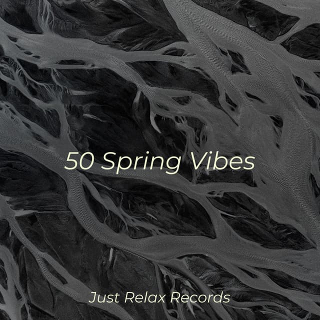 50 Spring Vibes - Musica para Meditar