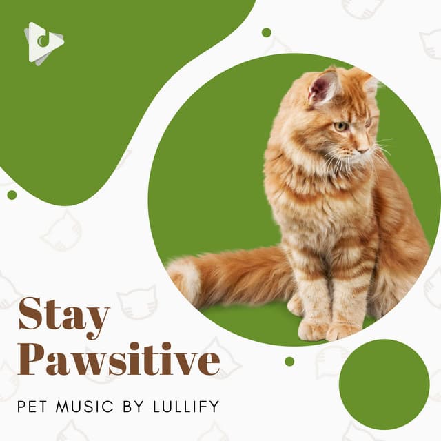 Relaxing Music for Cats