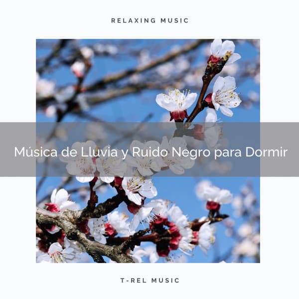 Música de Lluvia y Ruido Negro para Dormir - Ruido Blanco Para Estudiar