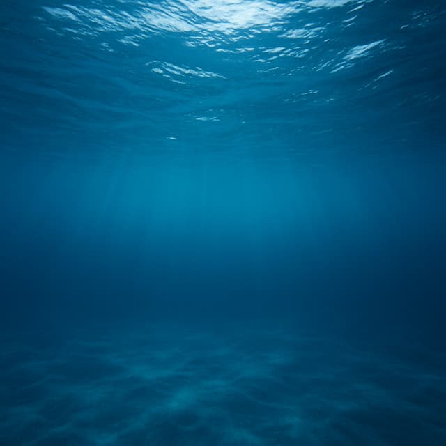 10PM Water Journeys: Ambient Blue - Seascapers