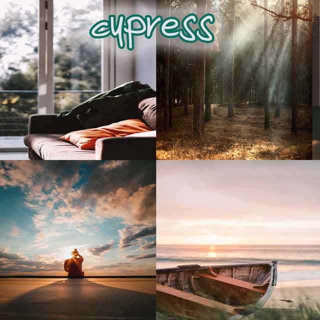 Collection Of Gentle Music Of The Slow Steps That Give You Rest 1 - Anonymous
