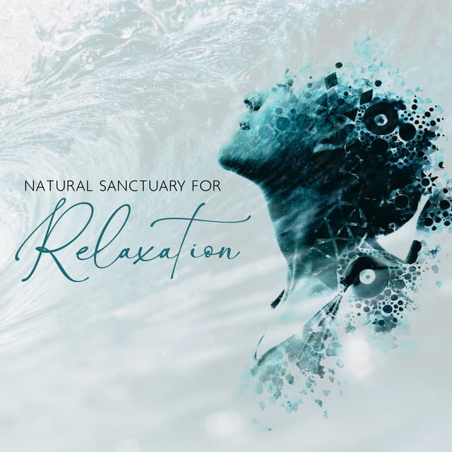 Natural Sanctuary for Relaxation and Stress Relief: Peaceful Music for Calm Down - Sérénité Océan