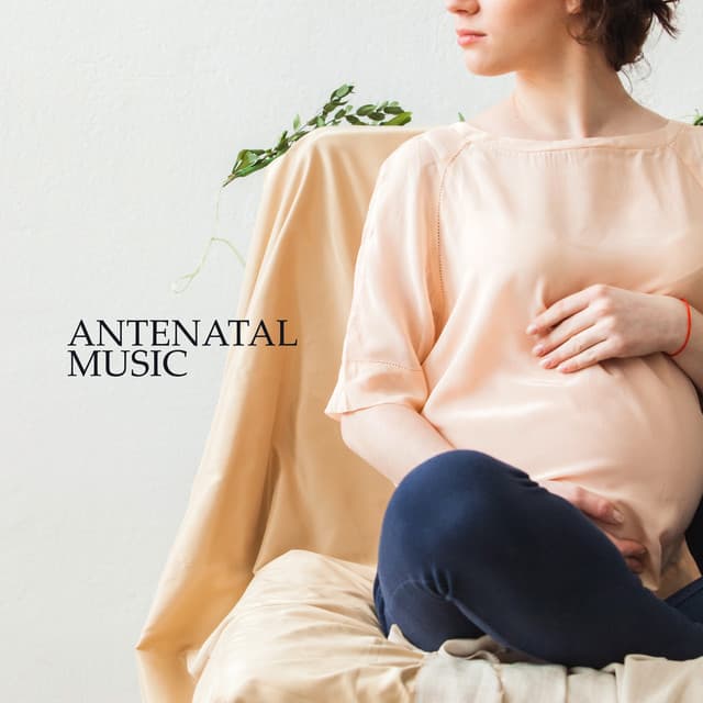 Antenatal Music: Relaxing Collection of 15 Songs to Relax and Relieve Stress before a Baby is Born - Pregnancy Relaxation Orchestra