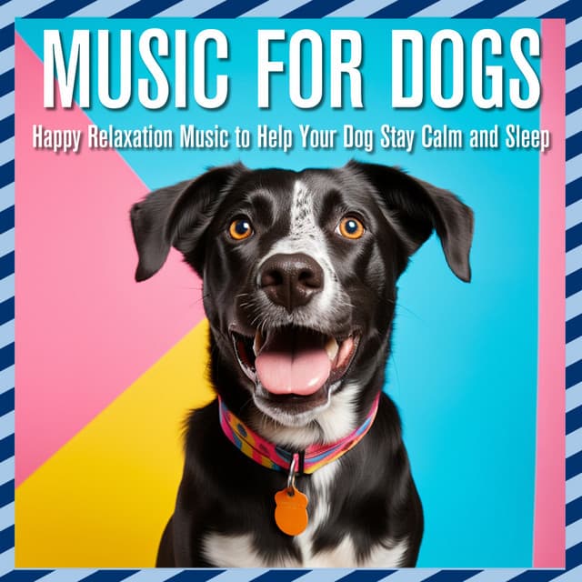 Music for Dogs: Happy Relaxation Music to Help Your Dog Stay Calm and Sleep - Relaxmydog